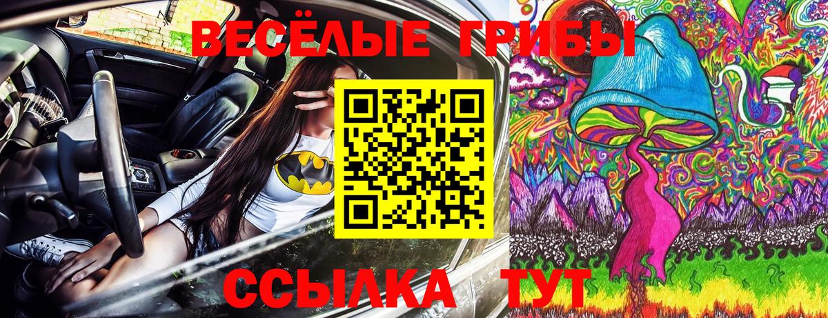 Псилоцибиновые грибы прущие грибы Ачинск